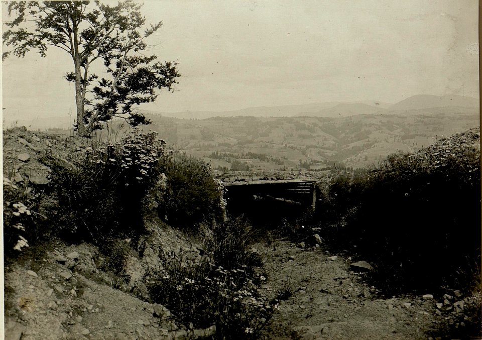 Artillerie Stellung am Beskid (BildID 15525328)