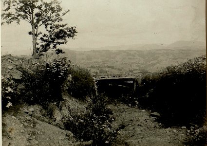 Artillerie Stellung am Beskid (BildID 15525328)