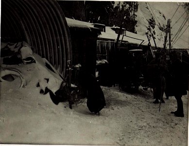 Artillerieunterstand der Gruppe Strohal auf Filmoorhöhe. (BildID 15575977)