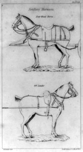 Artillery harness LCCN2009630946