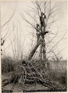 Artilleriebeobachter a.d. Piave 20.3.18. (BildID 15616778)