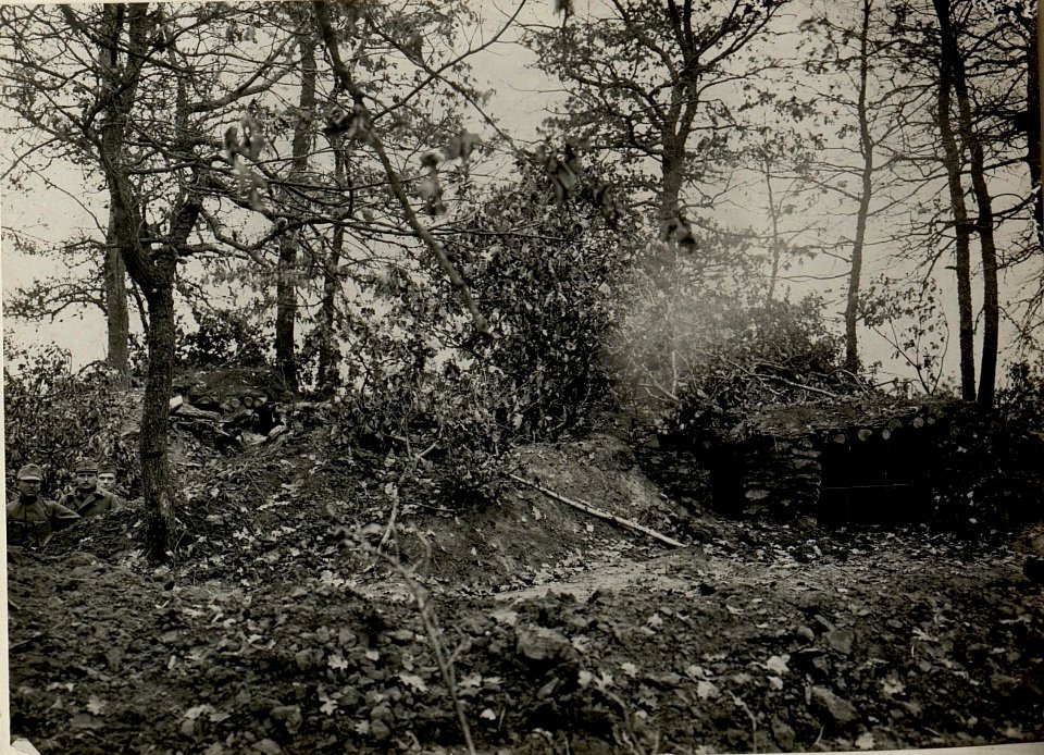 Artilleriebeobachtungsstand am Waldrande nördl.resp. nordöstl. KORYTO. Aufgenommen am 19. November 1915. (BildID 15540727)