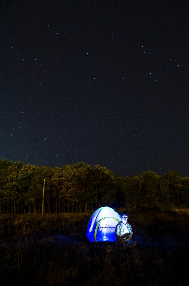 Tent star forest