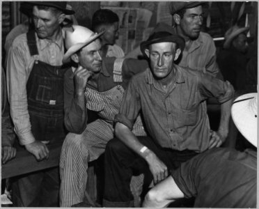 Arvin, Kern County, California. ... Head of rural family asking questions regarding the size of his . . . - NARA - 521653