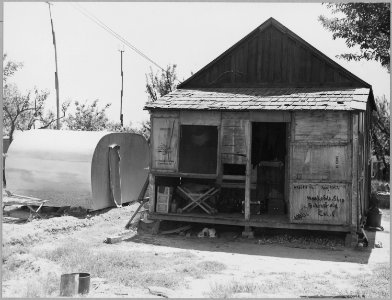 Arvin, Kern County, California. One in a community of shacks in subdivided orchard rented to agricul . . . - NARA - 521661