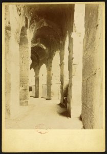Arènes de Nîmes - J-A Brutails - Université Bordeaux Montaigne - 1333