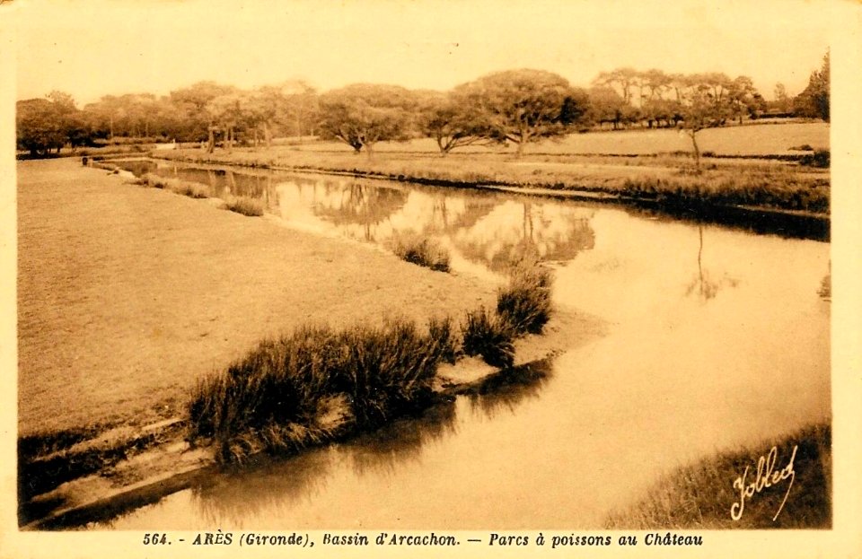 Arès - château Javal 8