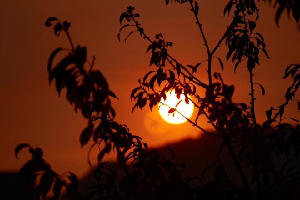 From differdange luxembourg