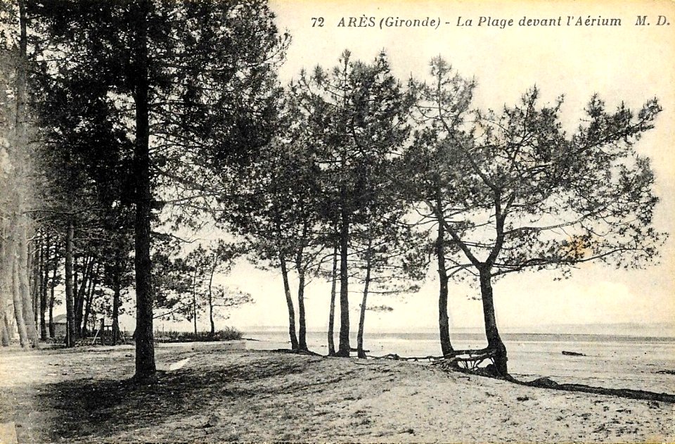Arès - Fondation Wallerstein 44
