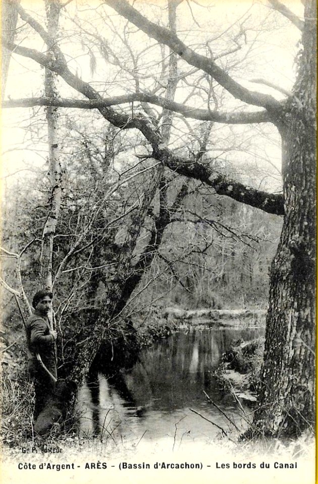 Arès - chasseur