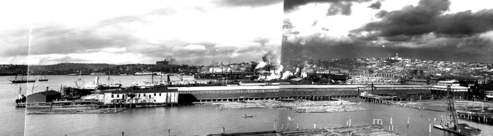 Asahel Curtis panorama - King Street Coal Wharf from Centennial Mill - 1902 photo