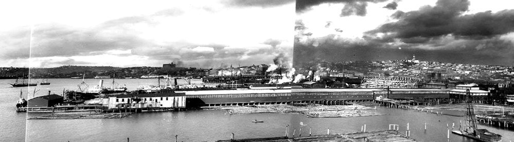 Asahel Curtis panorama - King Street Coal Wharf from Centennial Mill - 1902 photo