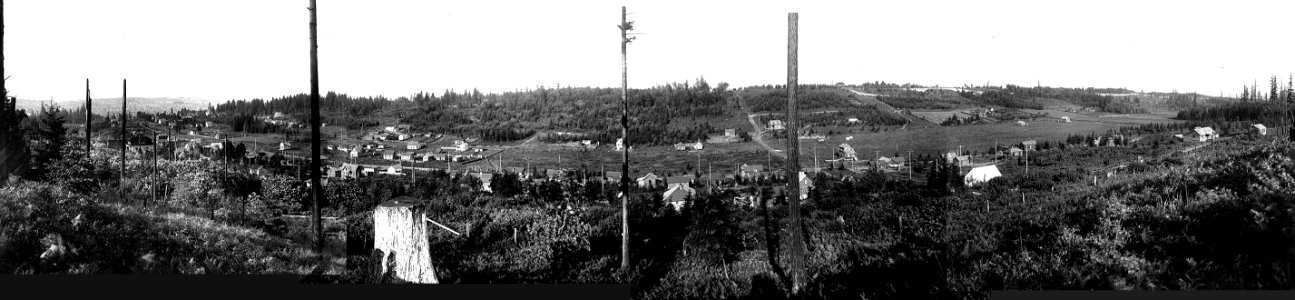 Asahel Curtis panorama of Pleasant Valley, Magnolia district, Seattle, 1909 photo