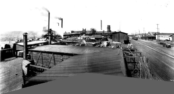 Asahel Curtis panorama of Bolcom Mills, Ballard district, Seattle (1910)