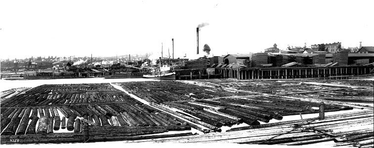 Asahel Curtis Panorama of Stimson Mill, Ballard, 1904 photo