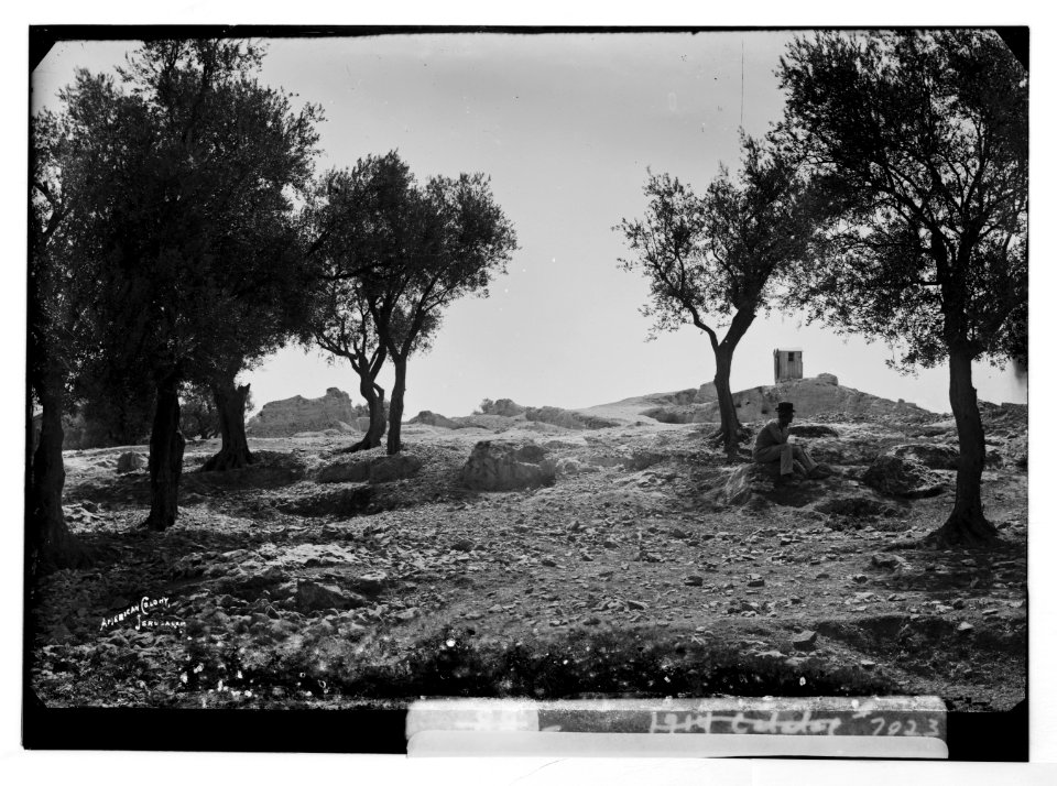 Ash heaps from the Temple sacrifices LOC matpc.03182