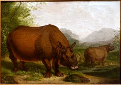 Asian rhinoceros by Christian Wilhelm Kehrer, c. 1816, oil on canvas - Hessisches Landesmuseum Darmstadt - Darmstadt, Germany - DSC00085 photo