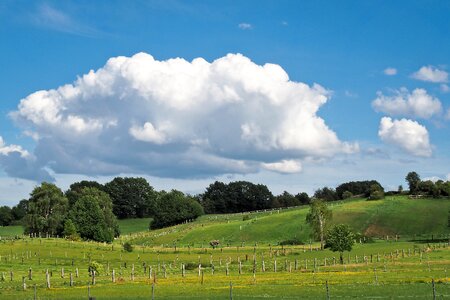 Agriculture meadow clouds photo