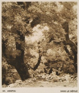 Askiphu Dans le défilé - Baud-bovy Daniel Boissonnas Frédéric - 1919