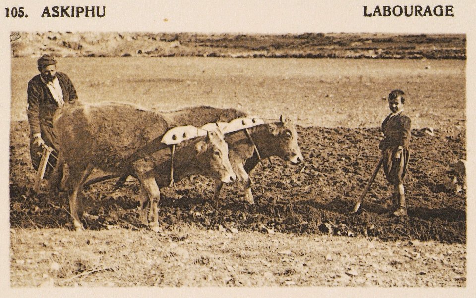 Askiphu Labourage - Baud-bovy Daniel Boissonnas Frédéric - 1919