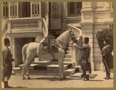 Asil, Sultan Abdülhamid's horse, with three men in front of a stairway LCCN2003677095
