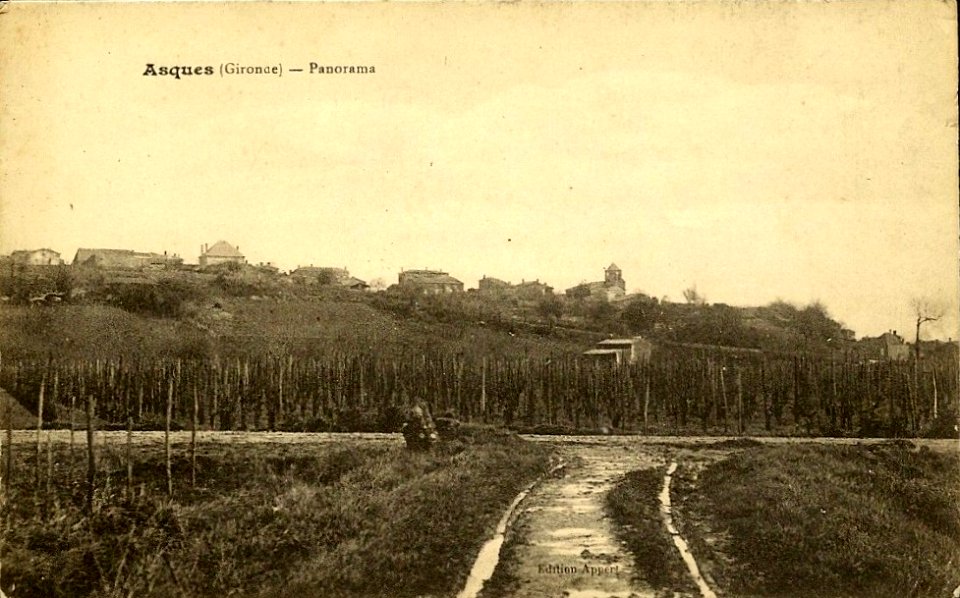 Asques - vue générale 2