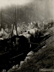 Assatal .Im Walde campierende Trains. (BildID 15635613)