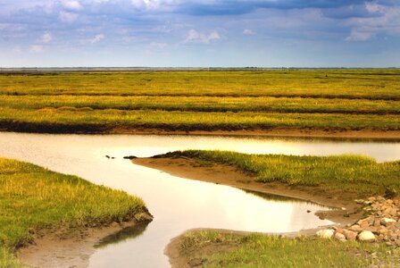 Coast sand wadden sea