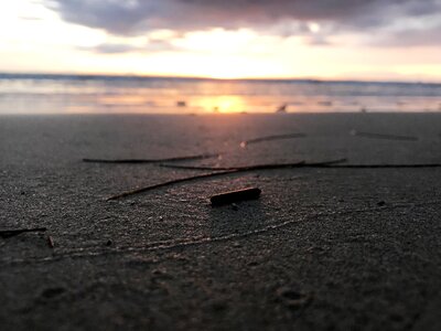Phuket sea beach deadwood