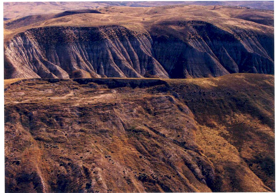 Astragalus cusickii var. packardiae habitat in SW Idaho 6