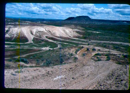 Astragalus mulfordiae population with OHV tracks in SW Idaho