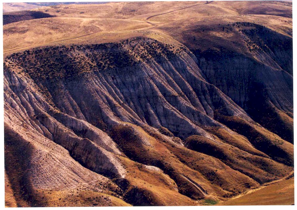 Astragalus cusickii var. packardiae habitat in SW Idaho 7