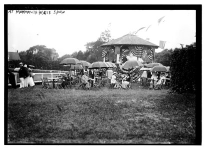 At Monmouth Horse Show LCCN2014690618