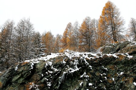 Winter the height of the snow