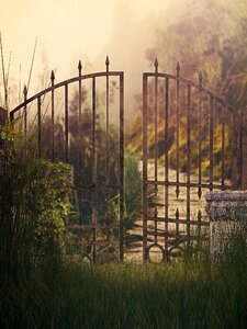 Sunset lawn landscape