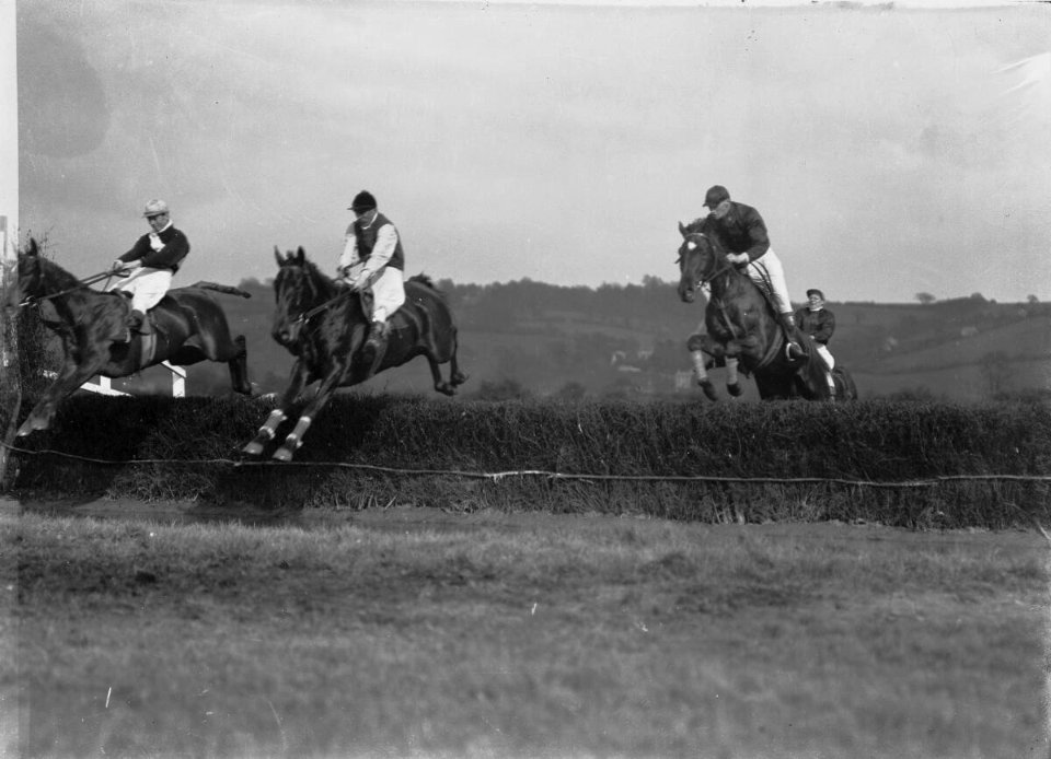 At the races, Cowbridge (4641432)