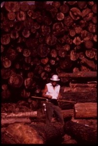 At-pickering-lumberyard-scaler-measures-logs-trucked-in-from-burn-area-september-1973 7007057186 o