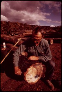 At-the-pickering-lumberyard-head-scaler-guy-efird-inspects-logs-trucked-in-from-burn-area-september-1973 7007053412 o