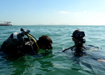 ATFP dive 130205-N-RE144-087