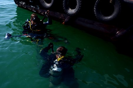ATFP dive 130205-N-RE144-147