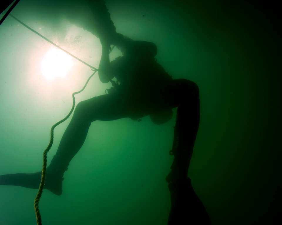 ATFP dive 130130-N-CG436-044
