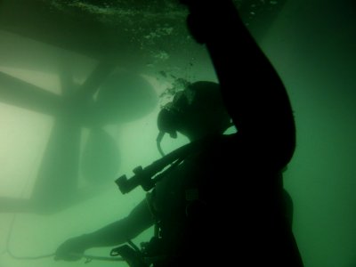 ATFP dive 130130-N-CG436-675