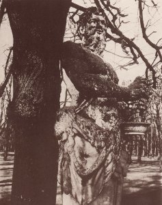 Atget, Eugène - Historische Stätten, Bacchus in Versailles (Zeno Fotografie)
