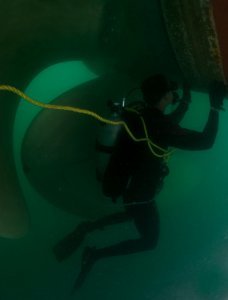 ATFP dive 130218-N-CG436-045