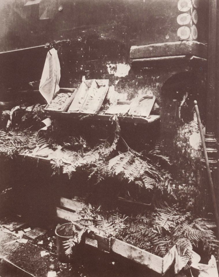 Atget, Eugène - Läden und Auslagen, Fischhändler an der Ecke Rue Daubenton-Rue Mouffetard (Zeno Fotografie)