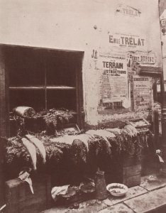 Atget, Eugène - Leben und Arbeitswelt, Fischhändler (Zeno Fotografie)