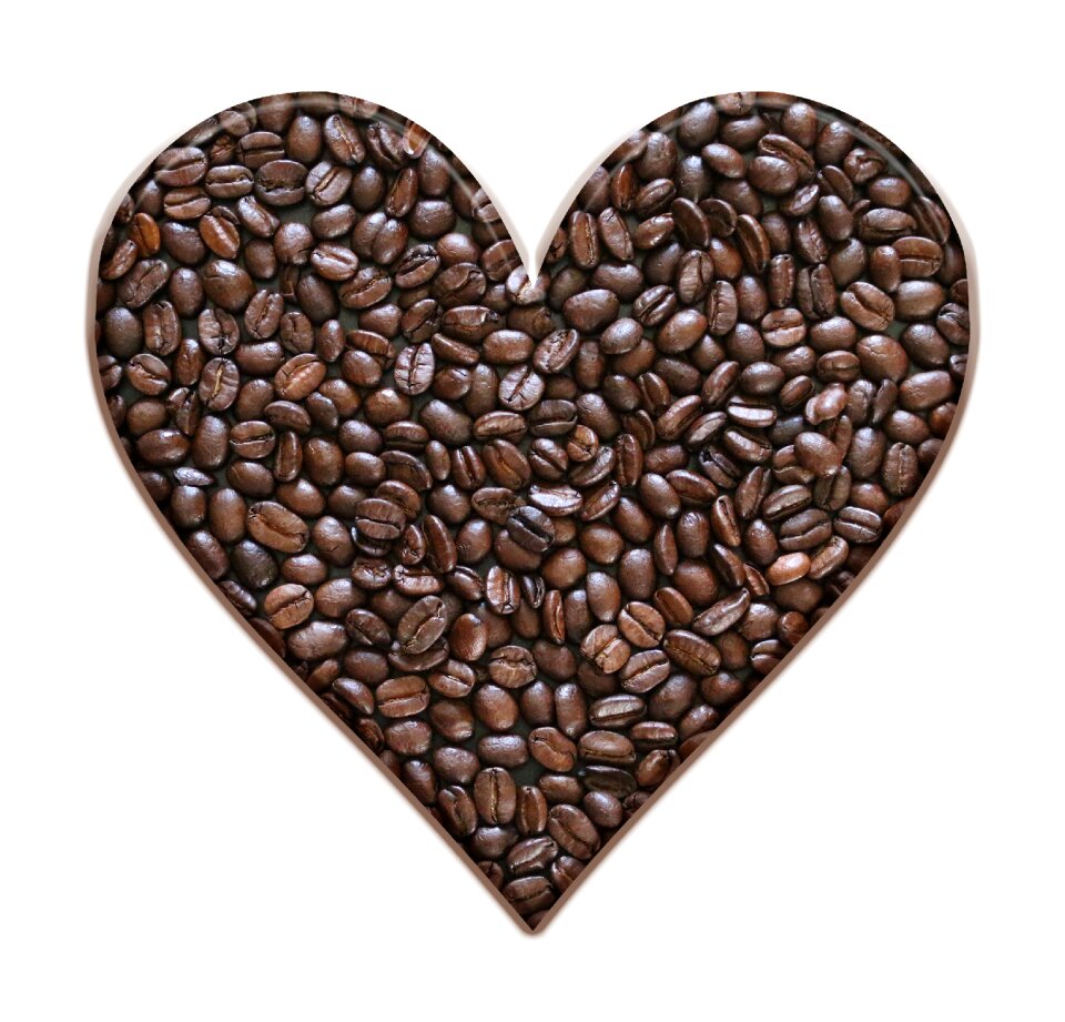 Brown beans roasted
