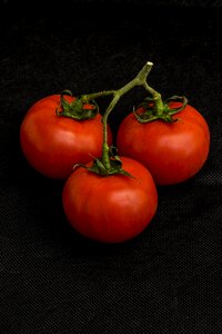 No person vegetable healthy