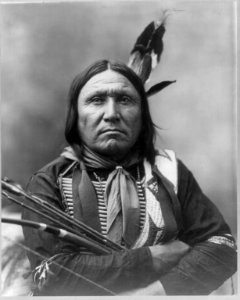 Bear Foot (Sioux) LCCN2004679558