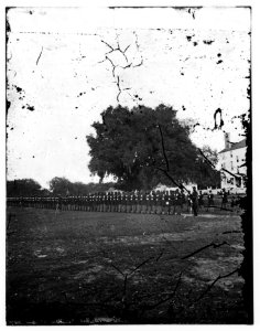 Beaufort, South Carolina. 29th Regiment from Connecticut LOC cwpbh.03375